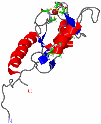 Image NMR Structure - model 1, sites