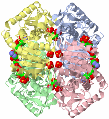 Image Asym./Biol. Unit