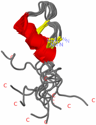 Image NMR Structure - all models