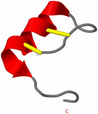 Image NMR Structure - model 1