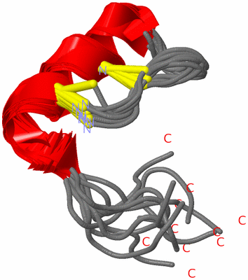 Image NMR Structure - all models