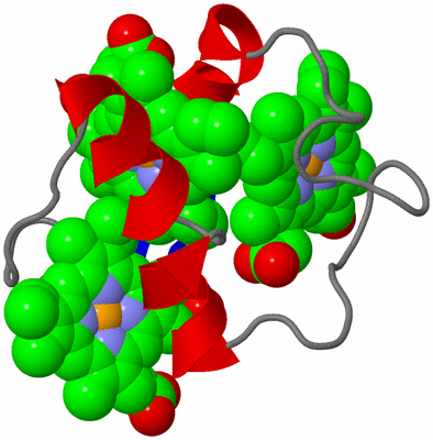 Image NMR Structure - model 1