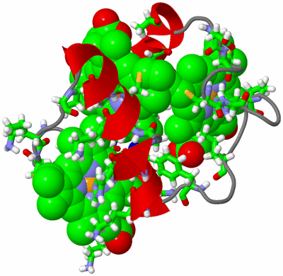 Image NMR Structure - model 1, sites