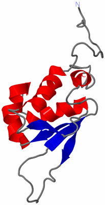 Image NMR Structure - model 1