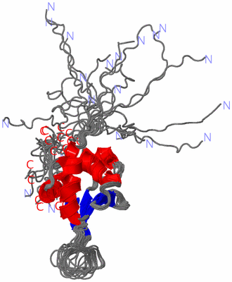 Image NMR Structure - all models