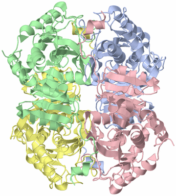 Image Asym./Biol. Unit