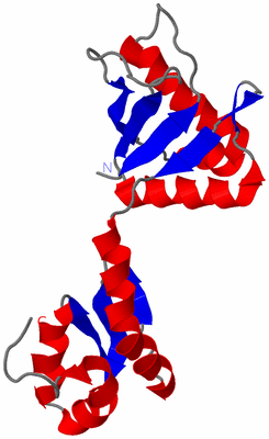 Image NMR Structure - model 1