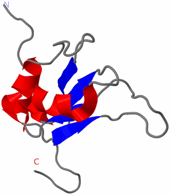 Image NMR Structure - model 1