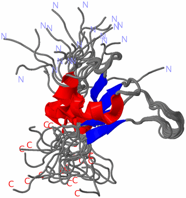 Image NMR Structure - all models