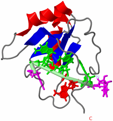 Image NMR Structure - model 1