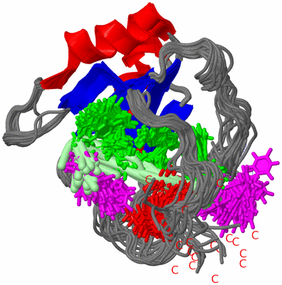 Image NMR Structure - all models