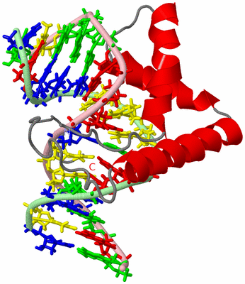 Image NMR Structure - model 1