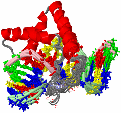 Image NMR Structure - all models