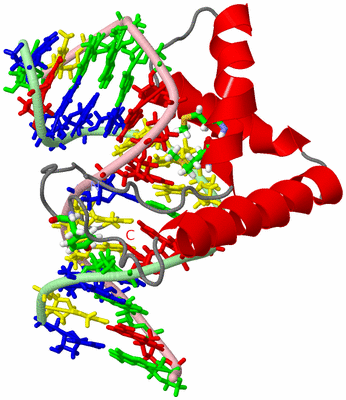 Image NMR Structure - model 1, sites