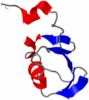 Image NMR Structure - model 1