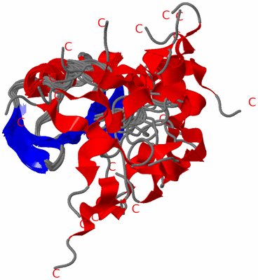 Image NMR Structure - all models