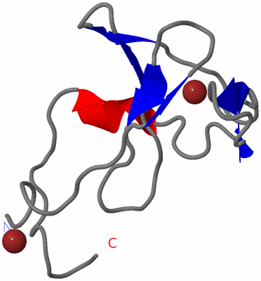 Image NMR Structure - model 1