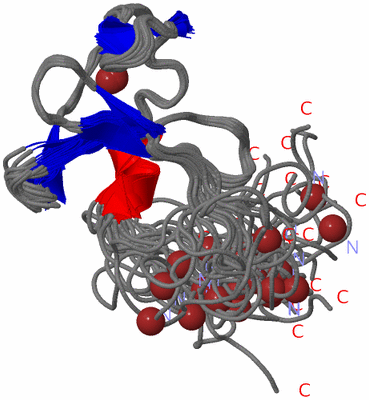 Image NMR Structure - all models