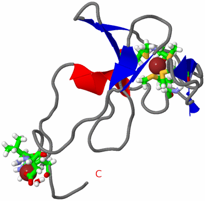 Image NMR Structure - model 1, sites