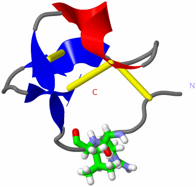 Image NMR Structure - model 1, sites