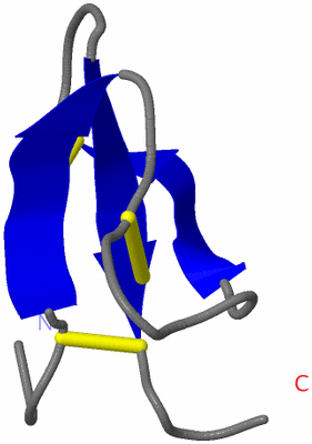 Image NMR Structure - model 1