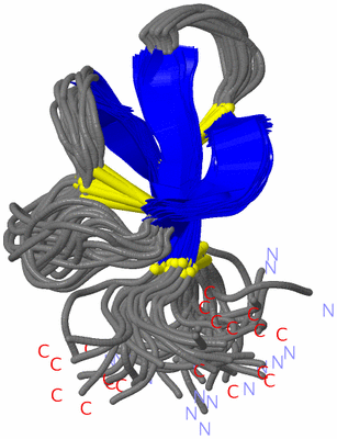 Image NMR Structure - all models