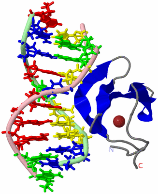 Image NMR Structure - model 1