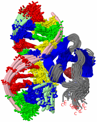 Image NMR Structure - all models