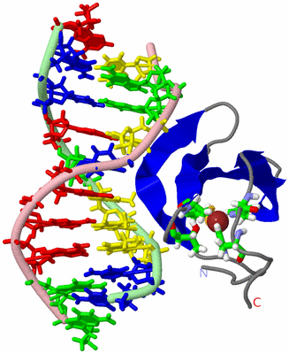 Image NMR Structure - model 1, sites