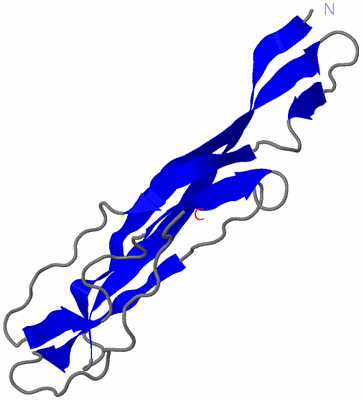 Image NMR Structure - model 1