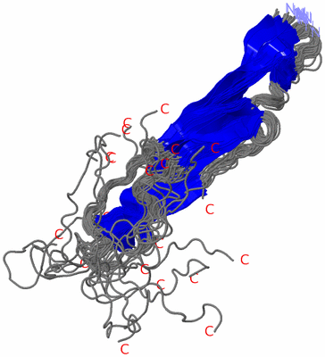 Image NMR Structure - all models