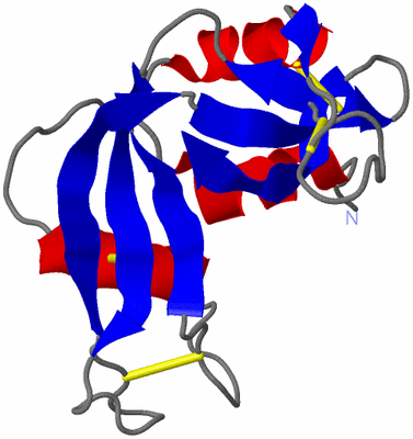 Image NMR Structure - model 1