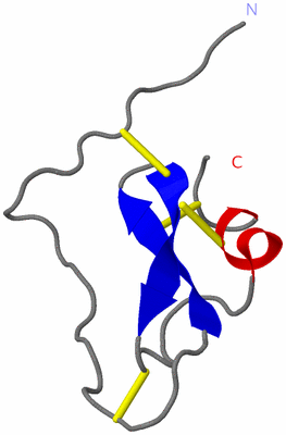 Image NMR Structure - model 1