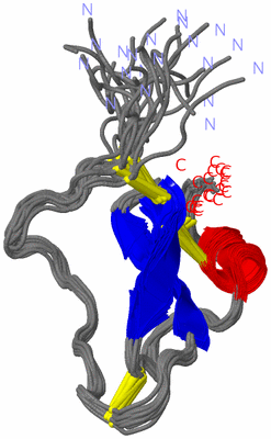 Image NMR Structure - all models