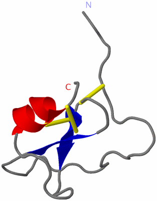 Image NMR Structure - model 1