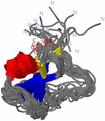 Image NMR Structure - all models