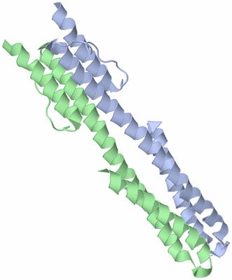 Image NMR Structure - model 1