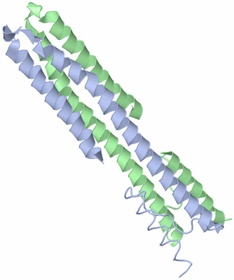 Image NMR Structure - model 1