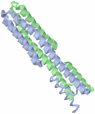 Image NMR Structure - all models