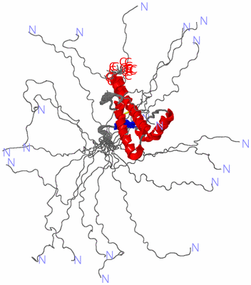 Image NMR Structure - all models