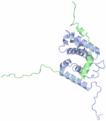 Image NMR Structure - model 1