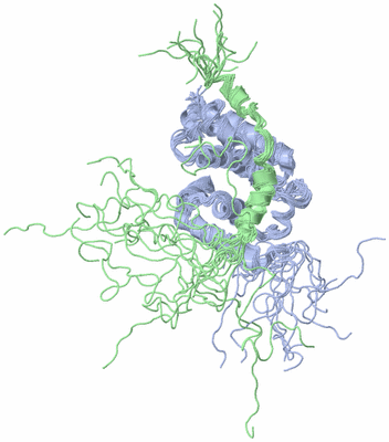 Image NMR Structure - all models