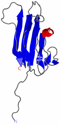 Image NMR Structure - model 1