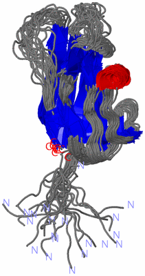 Image NMR Structure - all models