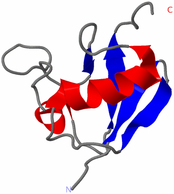 Image NMR Structure - model 1