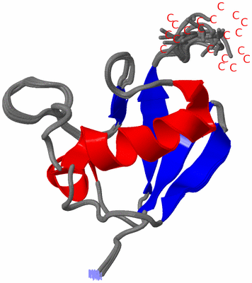 Image NMR Structure - all models