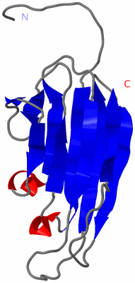 Image NMR Structure - model 1