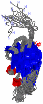 Image NMR Structure - all models