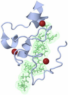 Image NMR Structure - model 1