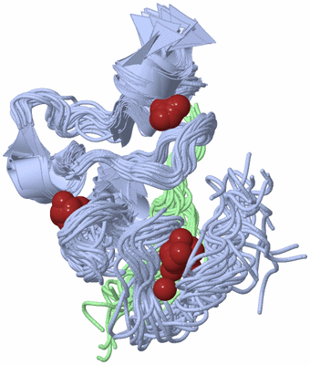 Image NMR Structure - all models